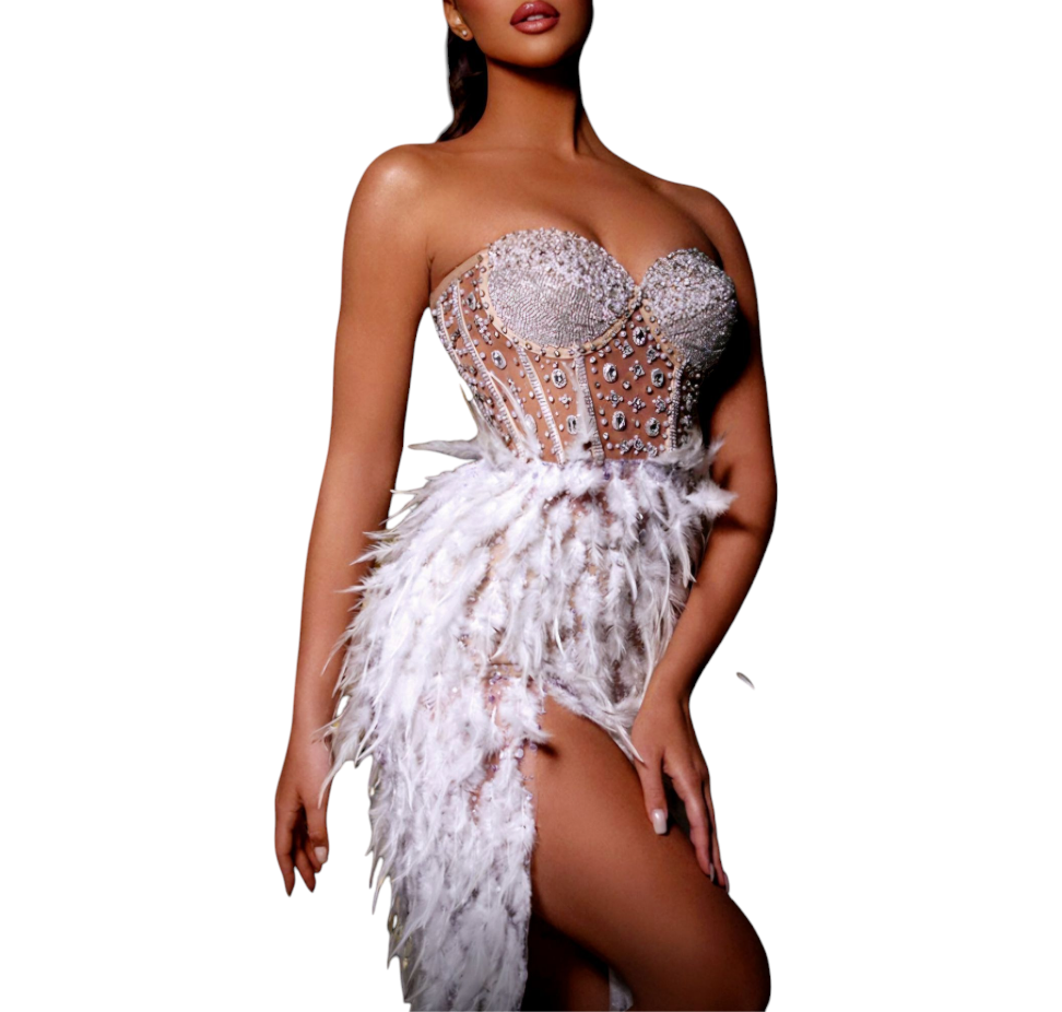 Corset-Feathered Long Dress