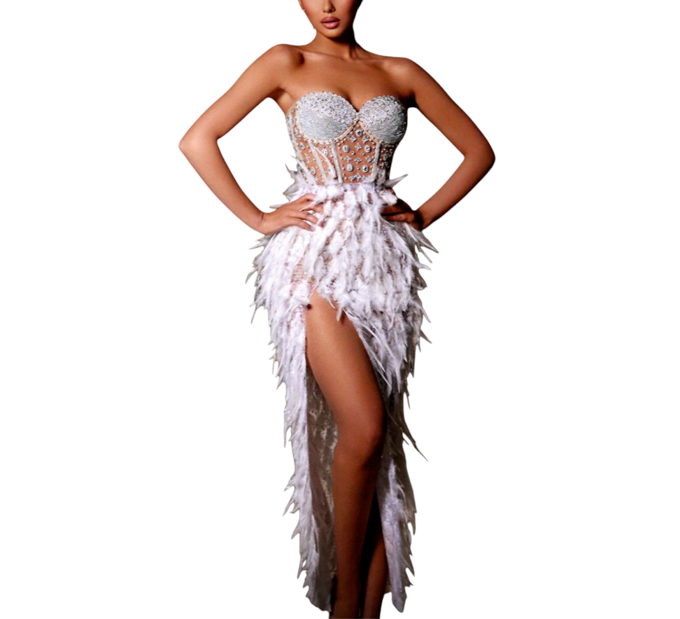 Corset-Feathered Long Dress