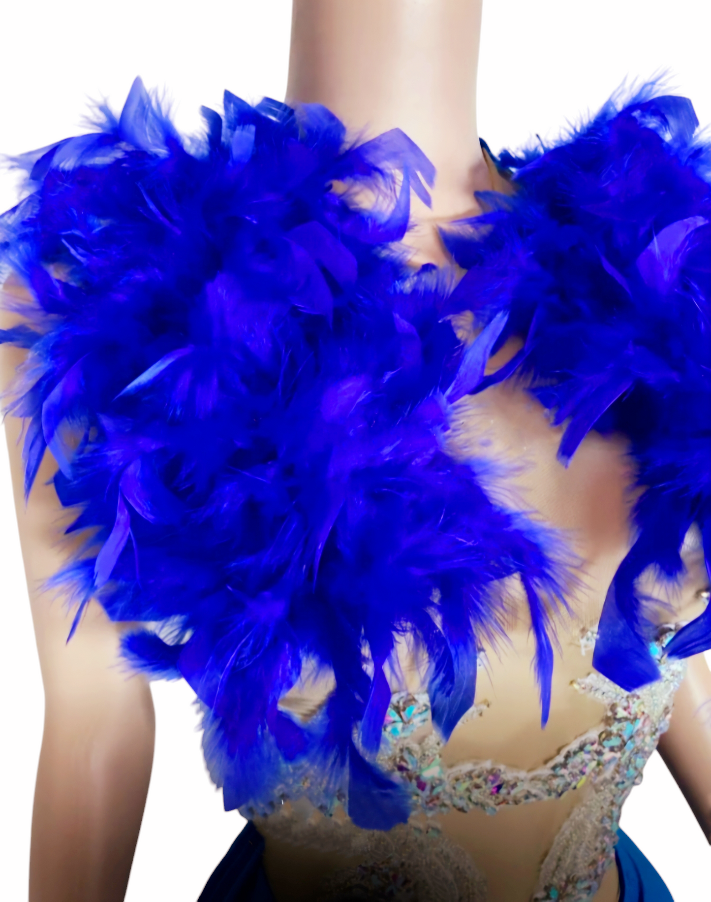 Crystal Feathered Dress