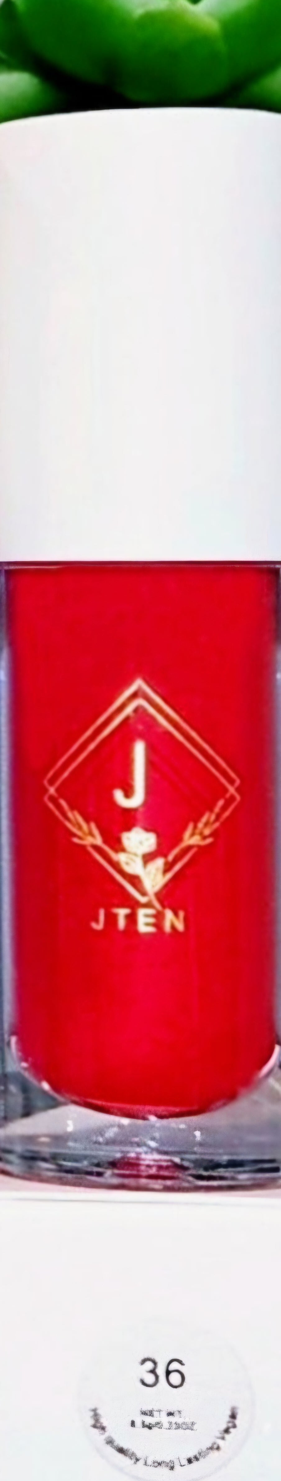 JTEN'S Vibrant-Tinted Lip Glosses