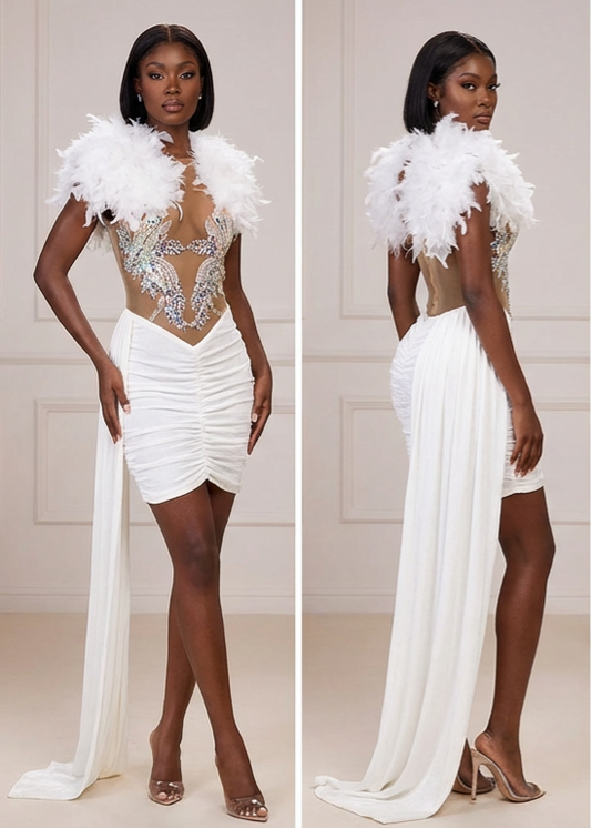 Crystal Feathered Dress