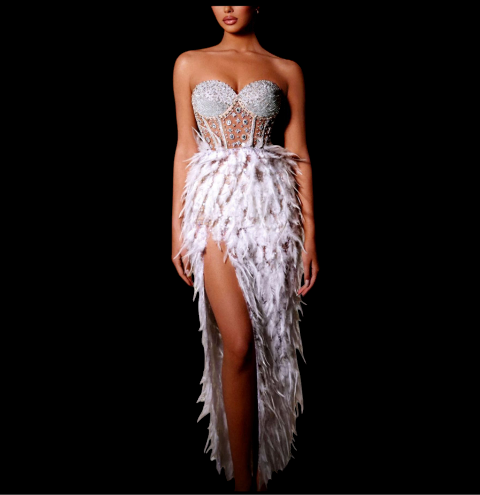 Corset-Feathered Long Dress