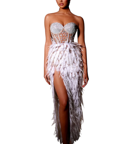 Corset-Feathered Long Dress