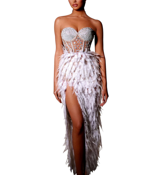 Corset-Feathered Long Dress