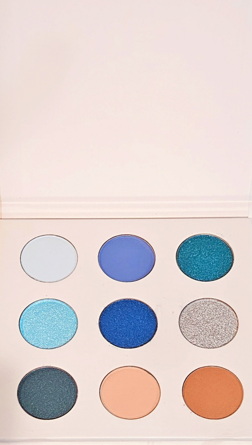 JTEN Blue Eyeshadow Palettes