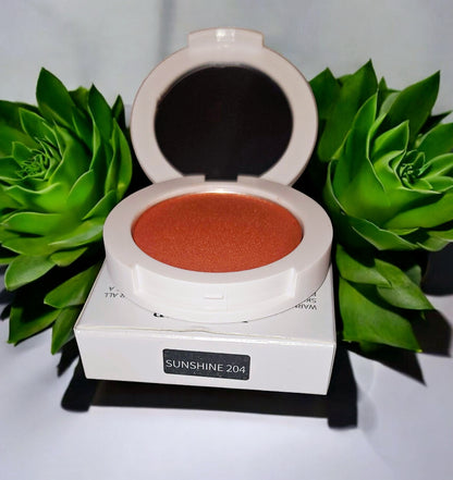 JTEN Compact Blush Palettes