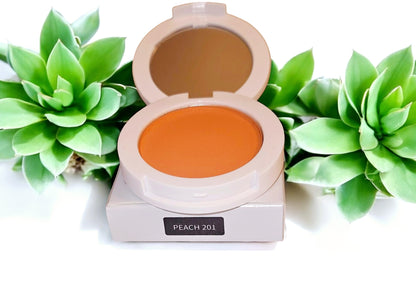 JTEN Compact Blush Palettes