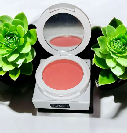JTEN Compact Blush Palettes
