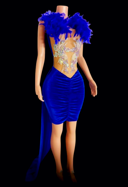 Crystal Feathered Dress