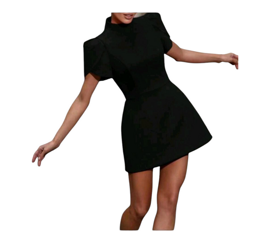 Petal Sleeve Mini Dress