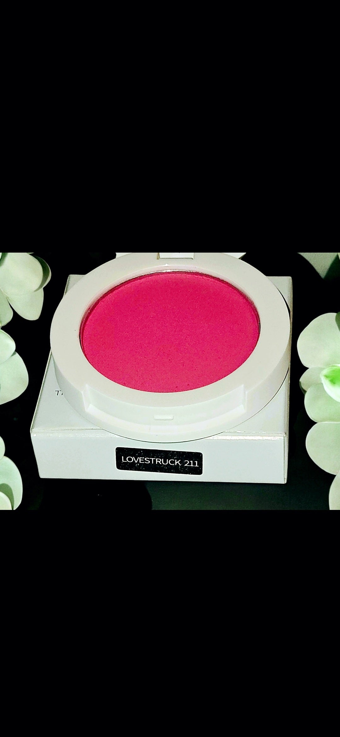 JTEN Compact Blush Palettes