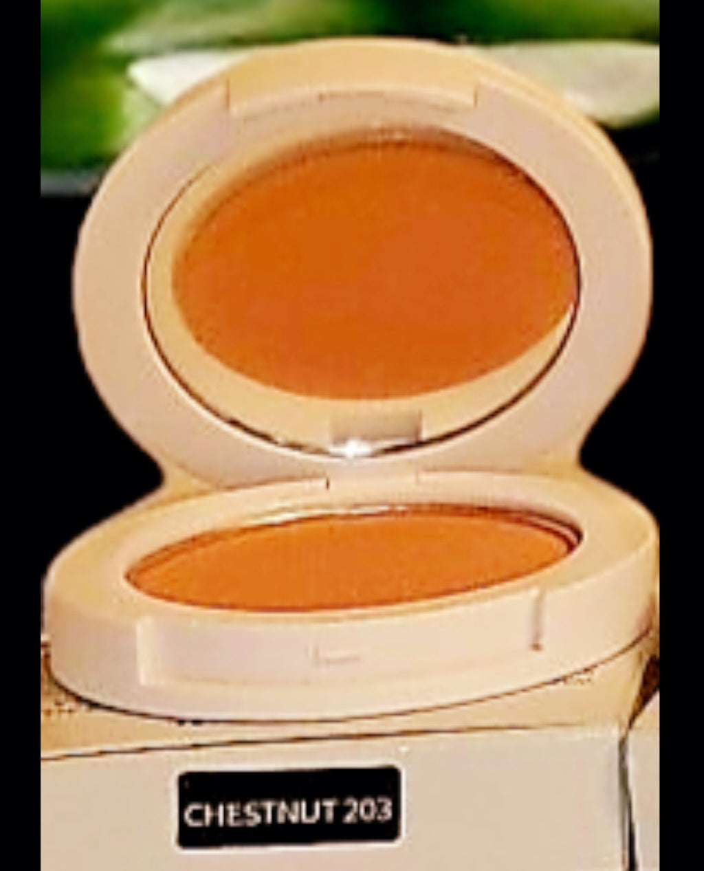 JTEN Compact Blush Palettes