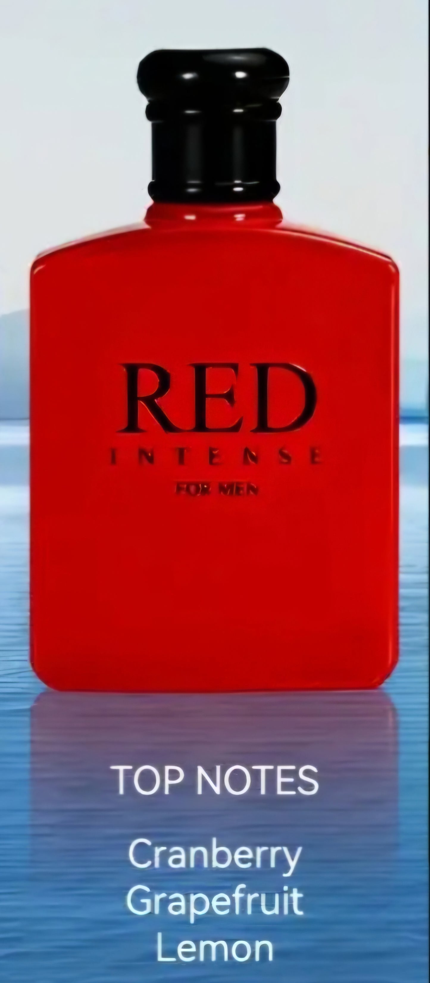 Men's Eau De Toilette Intense Spray