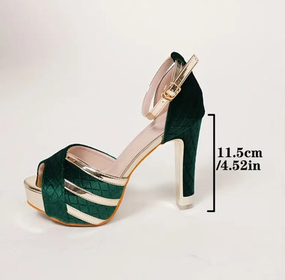 Ankle Suspender High Heel Pumps W/Golden Accents