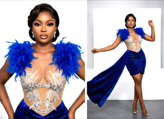 Crystal Feathered Dress