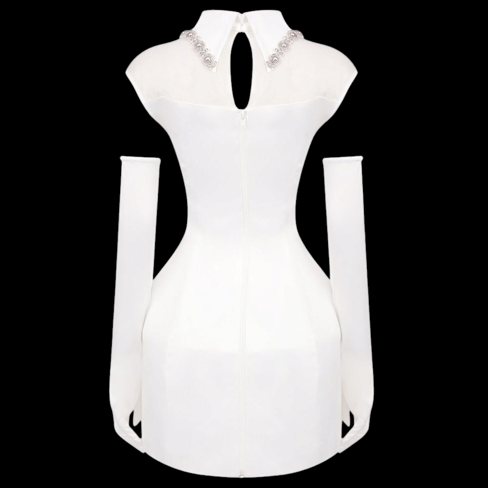 Satin Dress With Glove