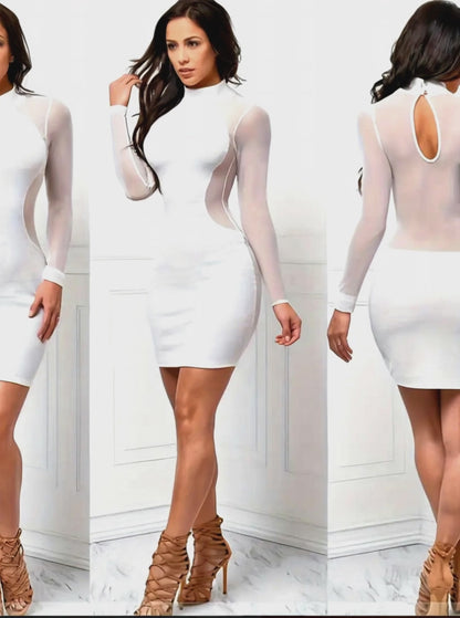 Sheer Elegant Long-Sleeve Bodycon Dress